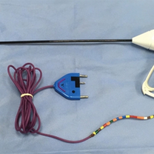 A Look at Laparoscopic Ovariectomy in dogs (“lap spay”, “keyhole spay”)*