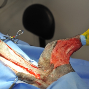 Skin & Reconstructive Surgery