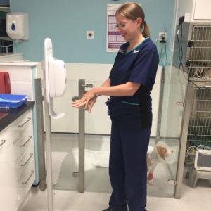 Infection Prevention and Control