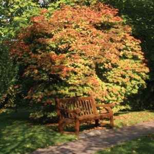 Park Bench IPP150