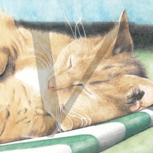 Pastel of Cat on Deck Chair IPP201