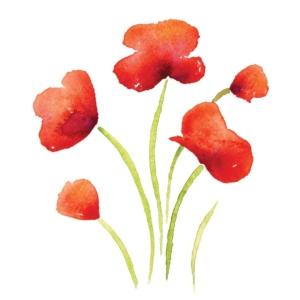 Painted Poppies IPP145B