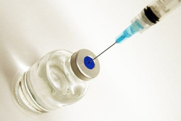 Diabetes in Cats and Dogs